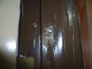 obat anti rayap bubuk pada sebuah gawang (kusen pintu)